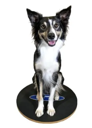 FitPAWS Wobble Board