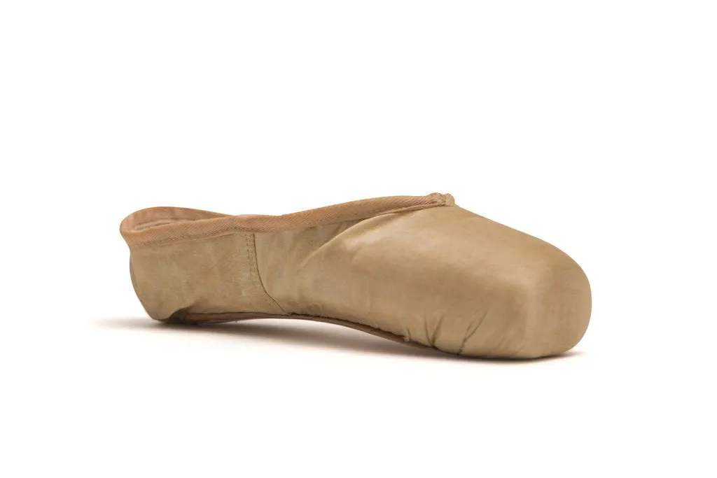 Pointe Shoe Paint